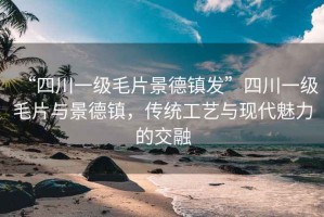 “四川一級毛片景德鎮發”四川一級毛片與景德鎮，傳統工藝與現代魅力的交融