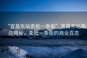 “宜昌東站賣批一條街”宜昌東站周邊揭秘，賣批一條街的商業百態