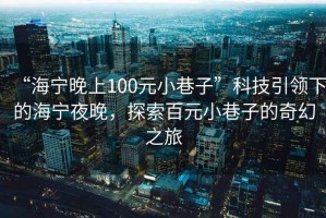“海寧晚上100元小巷子”科技引領下的海寧夜晚，探索百元小巷子的奇幻之旅