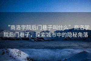 “商洛學院后門巷子叫什么”商洛學院后門巷子，探索城市中的隱秘角落