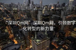 “深圳Qm網”深圳Qm網，引領數字化轉型的新力量
