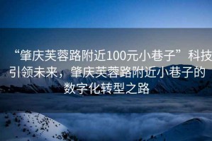 “肇慶芙蓉路附近100元小巷子”科技引領未來，肇慶芙蓉路附近小巷子的數字化轉型之路