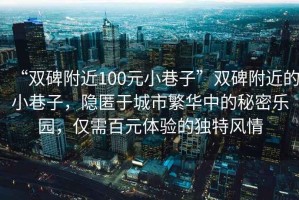 “雙碑附近100元小巷子”雙碑附近的小巷子，隱匿于城市繁華中的秘密樂園，僅需百元體驗的獨特風(fēng)情