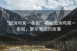 “園洲雞窩一條街”揭秘園洲雞窩一條街，繁華背后的故事