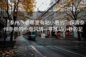 “泰州寺巷哪里有站小巷的”探索泰州寺巷的小巷風情—尋找站小巷的足跡