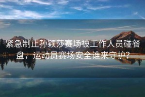 緊急制止孫穎莎賽場被工作人員碰餐盤，運動員賽場安全誰來守護？