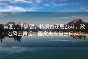美國幾乎撕裂，特朗普還要戰斗，政治風云再起，國家未來何去何從？