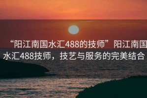 “陽(yáng)江南國(guó)水匯488的技師”陽(yáng)江南國(guó)水匯488技師，技藝與服務(wù)的完美結(jié)合