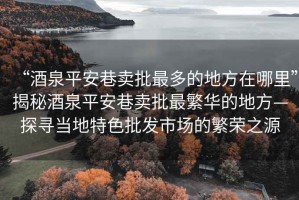 “酒泉平安巷賣批最多的地方在哪里”揭秘酒泉平安巷賣批最繁華的地方—探尋當地特色批發市場的繁榮之源