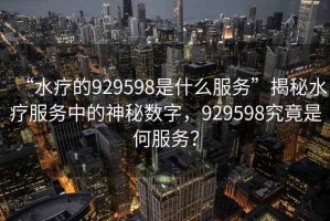 “水療的929598是什么服務”揭秘水療服務中的神秘數字，929598究竟是何服務？