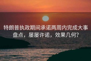 特朗普執政期間承諾兩周內完成大事盤點，屢屢許諾，效果幾何？