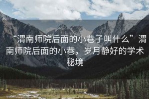“渭南師院后面的小巷子叫什么”渭南師院后面的小巷，歲月靜好的學術秘境