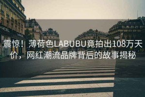 震驚！薄荷色LABUBU竟拍出108萬天價，網紅潮流品牌背后的故事揭秘