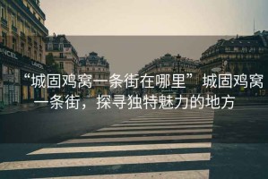 “城固雞窩一條街在哪里”城固雞窩一條街，探尋獨特魅力的地方