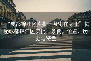 “成都錦江區(qū)賣批一條街在哪里”揭秘成都錦江區(qū)賣批一條街，位置、歷史與特色