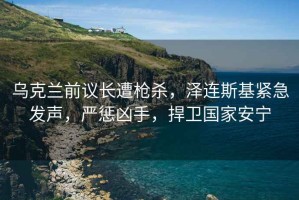烏克蘭前議長遭槍殺，澤連斯基緊急發聲，嚴懲兇手，捍衛國家安寧