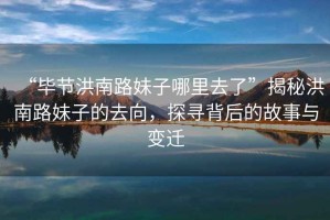“畢節(jié)洪南路妹子哪里去了”揭秘洪南路妹子的去向，探尋背后的故事與變遷
