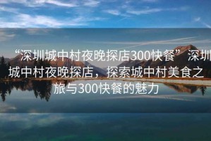 “深圳城中村夜晚探店300快餐”深圳城中村夜晚探店，探索城中村美食之旅與300快餐的魅力