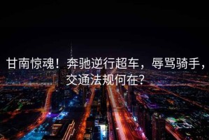 甘南驚魂！奔馳逆行超車，辱罵騎手，交通法規何在？