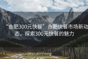 “合肥300元快餐”合肥快餐市場(chǎng)新動(dòng)態(tài)，探索300元快餐的魅力