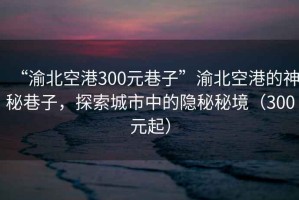 “渝北空港300元巷子”渝北空港的神秘巷子，探索城市中的隱秘秘境（300元起）