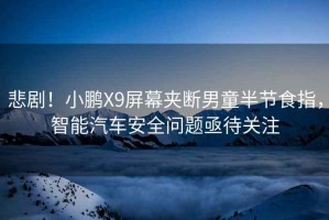 悲劇！小鵬X9屏幕夾斷男童半節食指，智能汽車安全問題亟待關注