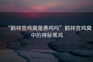 “鶴祥宮雞窩是黑雞嗎”鶴祥宮雞窩中的神秘黑雞