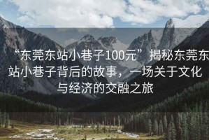 “東莞東站小巷子100元”揭秘東莞東站小巷子背后的故事，一場關于文化與經濟的交融之旅
