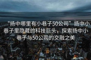“揚中哪里有小巷子50公司”揚中小巷子里隱藏的科技巨頭，探索揚中小巷子與50公司的交融之美