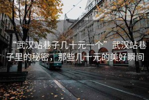 “武漢站巷子幾十元一個”武漢站巷子里的秘密，那些幾十元的美好瞬間