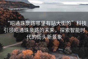 “昭通珠泉路哪里有站大街的”科技引領昭通珠泉路的未來，探索智能時代的街頭新景象