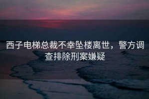 西子電梯總裁不幸墜樓離世，警方調查排除刑案嫌疑