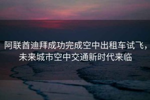 阿聯(lián)酋迪拜成功完成空中出租車試飛，未來城市空中交通新時(shí)代來臨