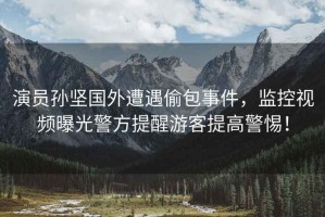演員孫堅國外遭遇偷包事件，監(jiān)控視頻曝光警方提醒游客提高警惕！