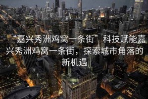 “嘉興秀洲雞窩一條街”科技賦能嘉興秀洲雞窩一條街，探索城市角落的新機遇