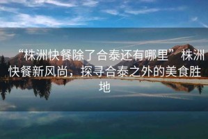 “株洲快餐除了合泰還有哪里”株洲快餐新風尚，探尋合泰之外的美食勝地