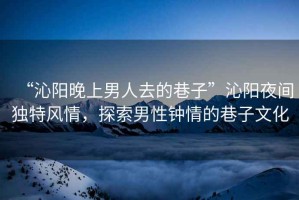 “沁陽晚上男人去的巷子”沁陽夜間獨(dú)特風(fēng)情，探索男性鐘情的巷子文化