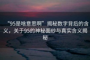 “95是啥意思啊”揭秘數字背后的含義，關于95的神秘面紗與真實含義揭秘