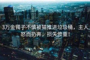 3萬金鐲子不慎被貓推進垃圾桶，主人怒而扔棄，損失慘重！