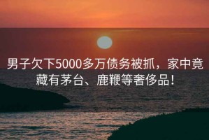 男子欠下5000多萬債務被抓，家中竟藏有茅臺、鹿鞭等奢侈品！