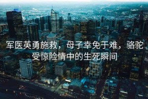軍醫(yī)英勇施救，母子幸免于難，駱駝受驚險(xiǎn)情中的生死瞬間