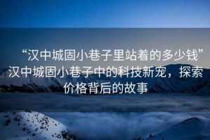 “漢中城固小巷子里站著的多少錢”漢中城固小巷子中的科技新寵，探索價格背后的故事