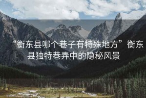 “衡東縣哪個巷子有特殊地方”衡東縣獨特巷弄中的隱秘風景