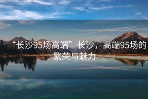 “長沙95場高端”長沙，高端95場的繁榮與魅力