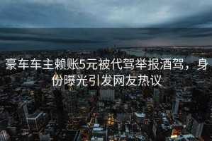 豪車車主賴賬5元被代駕舉報酒駕，身份曝光引發網友熱議
