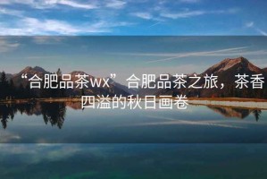 “合肥品茶wx”合肥品茶之旅，茶香四溢的秋日畫卷