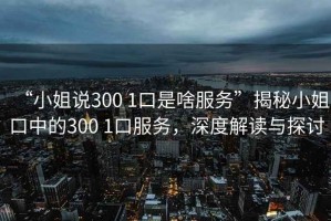 “小姐說300 1口是啥服務(wù)”揭秘小姐口中的300 1口服務(wù)，深度解讀與探討