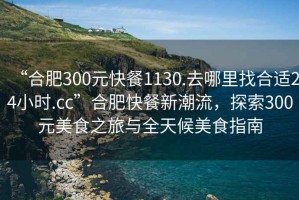 “合肥300元快餐1130.去哪里找合適24小時.cc”合肥快餐新潮流，探索300元美食之旅與全天候美食指南