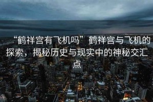 “鶴祥宮有飛機嗎”鶴祥宮與飛機的探索，揭秘歷史與現實中的神秘交匯點