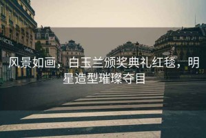風景如畫，白玉蘭頒獎典禮紅毯，明星造型璀璨奪目